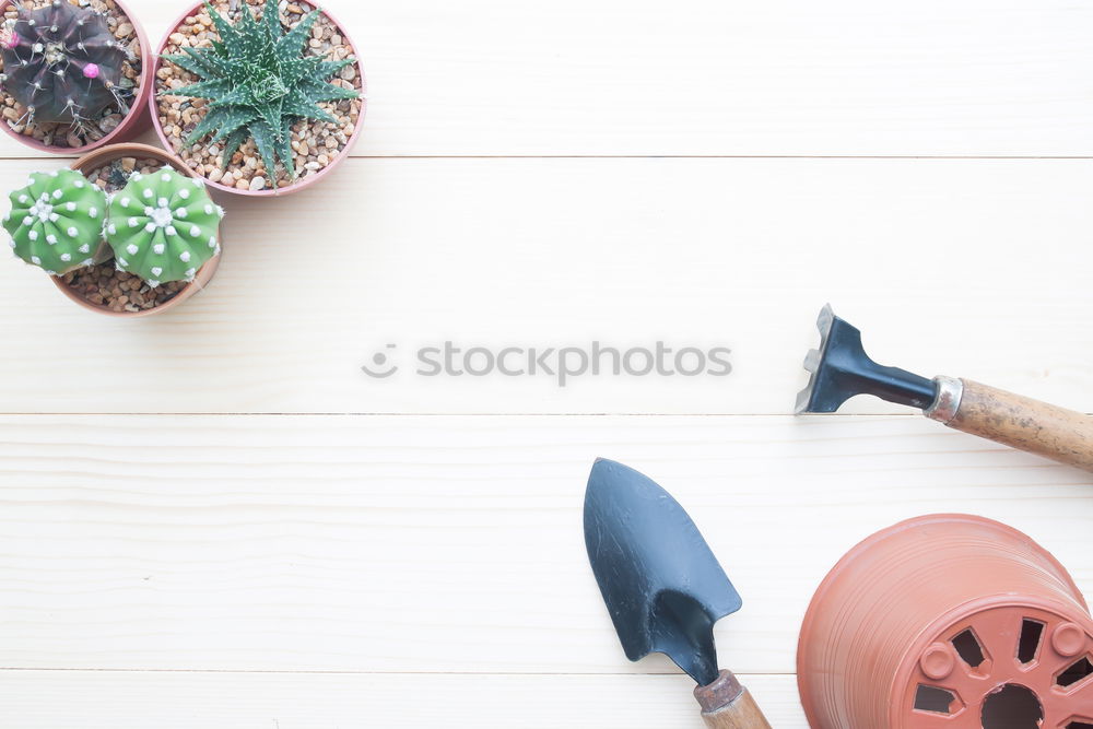 Similar – Image, Stock Photo Woman’s hands transplanting plant.