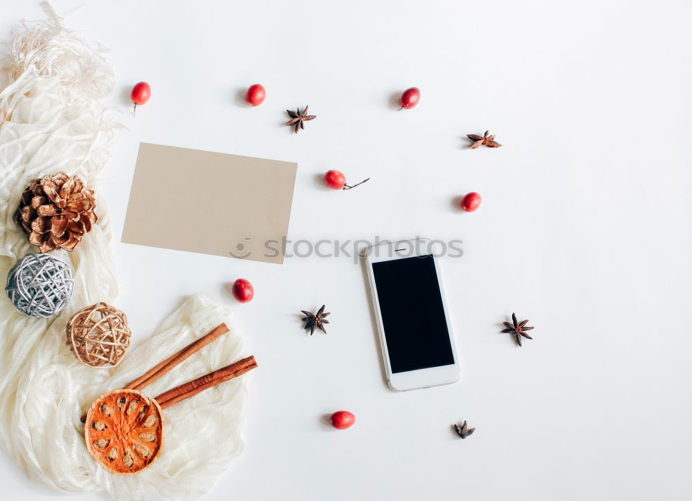 Similar – Creative flat lay of thanksgiving or autumn concept