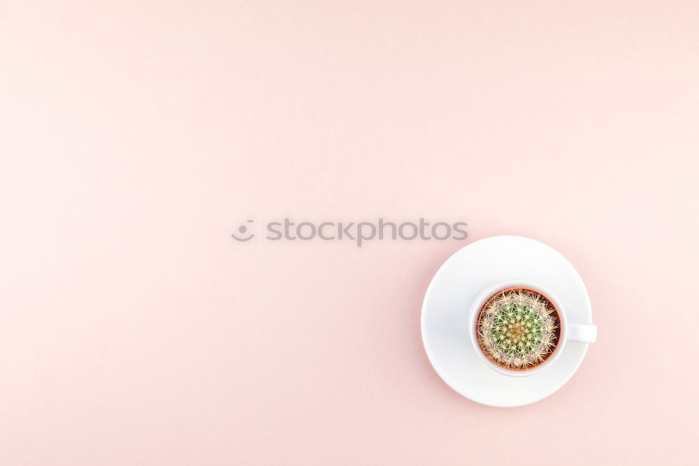 Similar – Image, Stock Photo Sweet pink doughnut and sweet pink drink with jelly candies