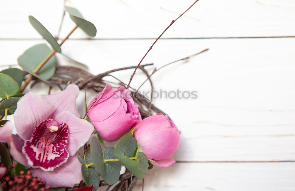 Similar – Image, Stock Photo setting flowers Lifestyle