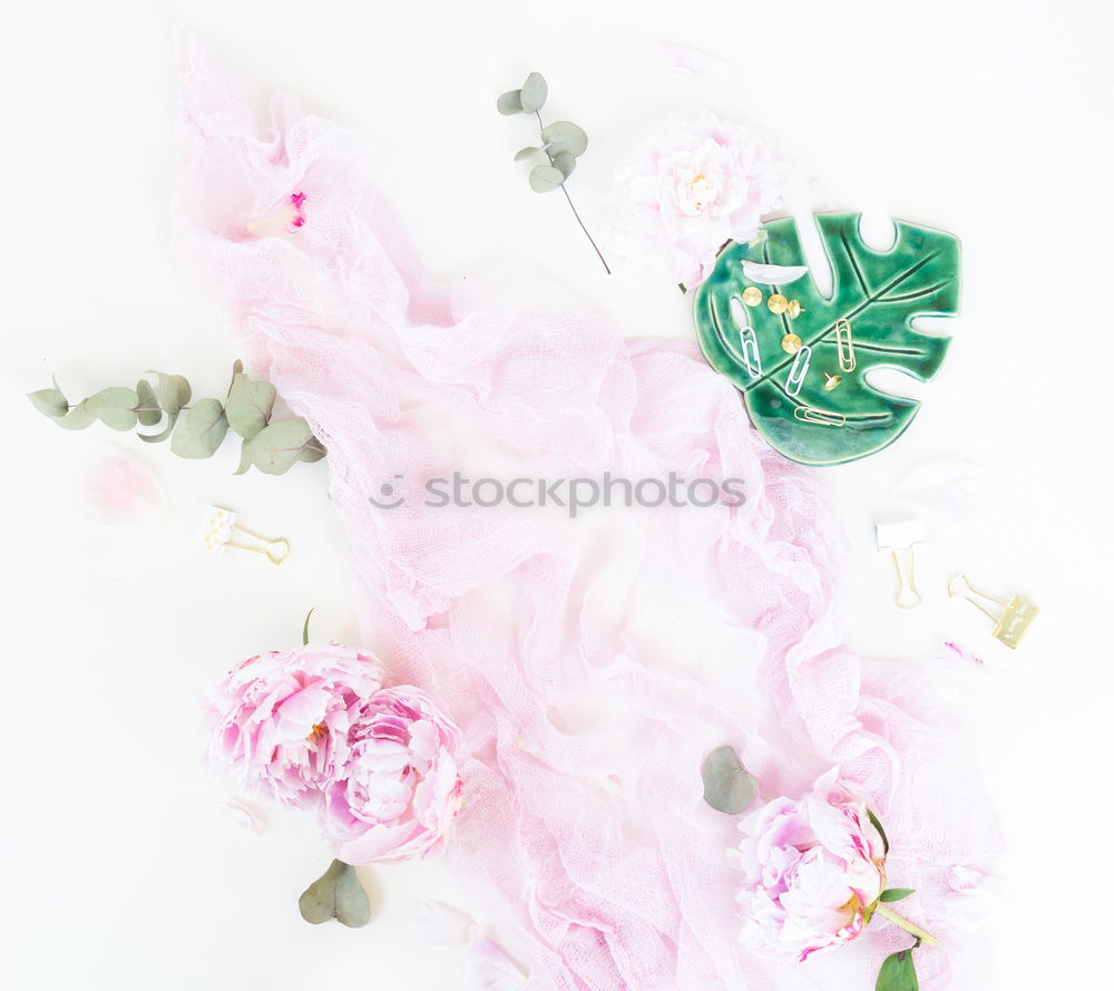 Similar – Composition of pink accessories to female holidays: Mothers day , Womens day, birthday or wedding. Paper shopping bag with flowers,paper, party fan and ribbon on white background, top view