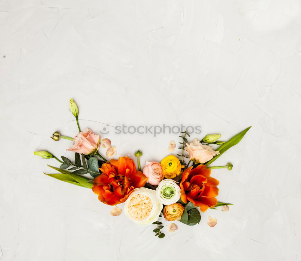 Similar – Image, Stock Photo spring wreath Nature