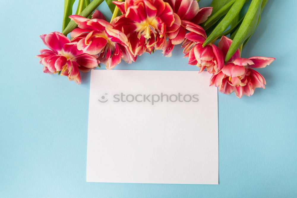 Similar – Beautiful flowers, with empty greeting card