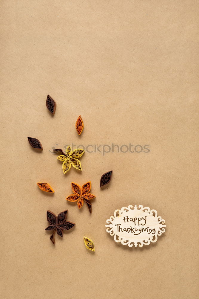 Similar – Star anise on brown background