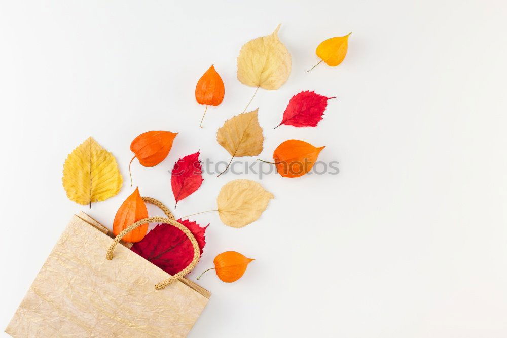 Similar – Image, Stock Photo Autumn in the garden