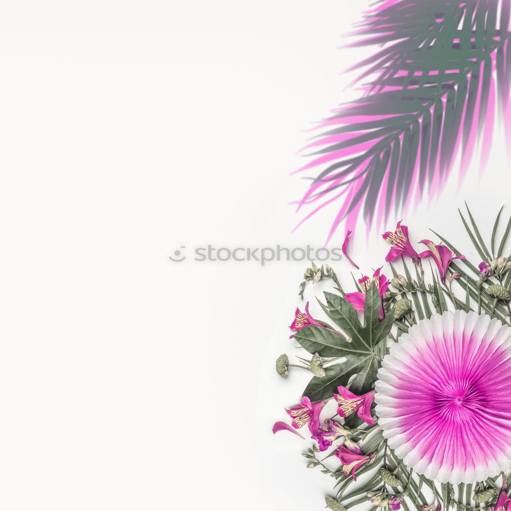 Similar – Image, Stock Photo Tropical leaves with orchids flowers and envelope