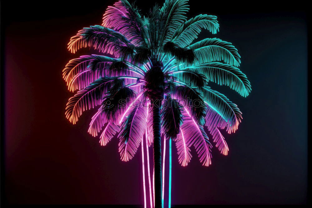 Similar – Foto Bild Palmä Palme grün Nacht