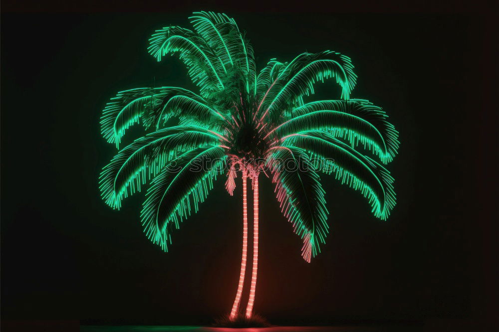 Similar – Foto Bild Palmä Palme grün Nacht