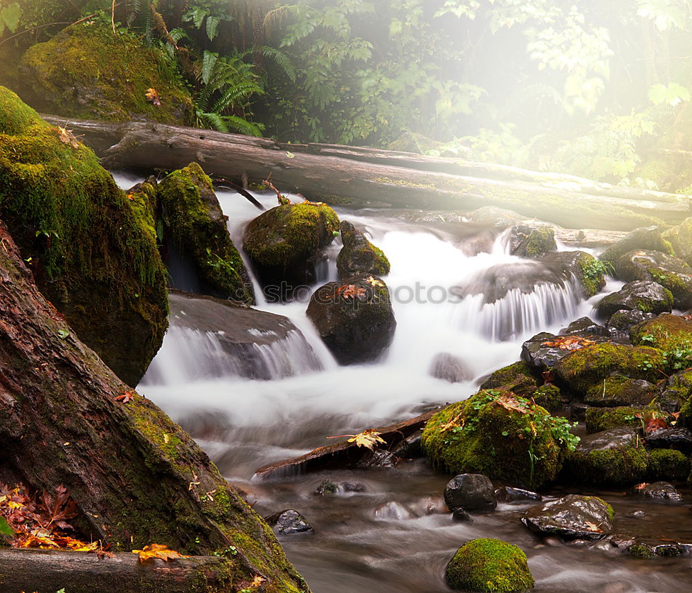 Similar – Unten am Fluss III Wasser