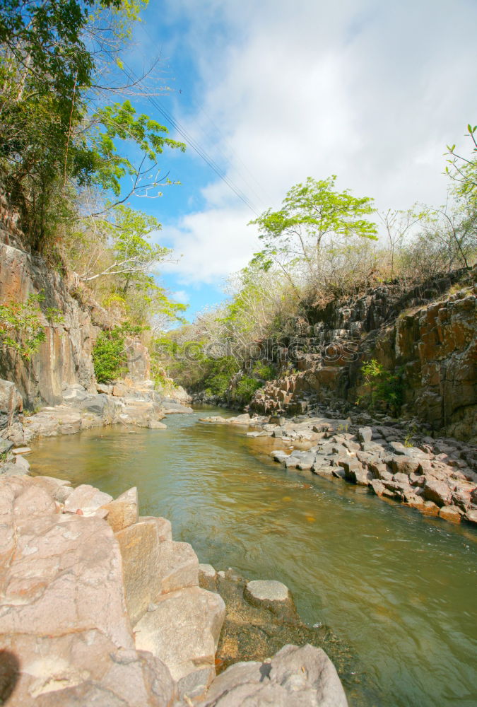 Similar – Alligator Creek Umwelt