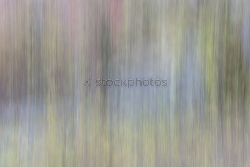 Image, Stock Photo Autumn grass with colours