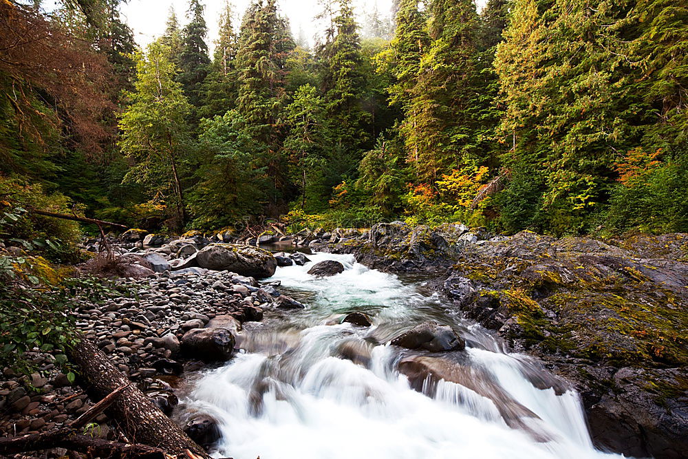 Similar – # Canada/Wildwater Nature