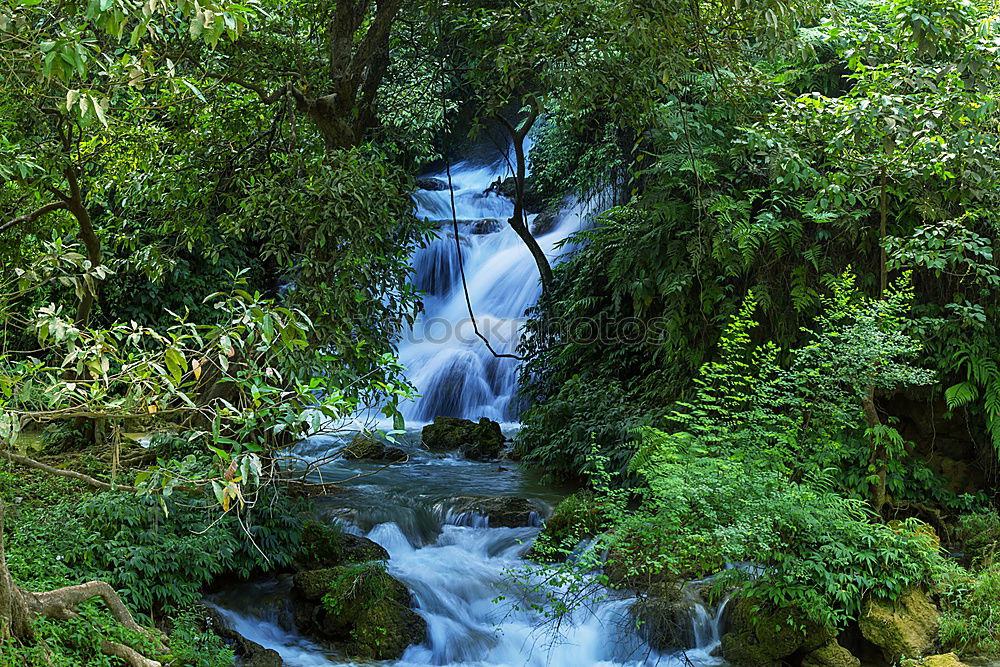 Similar – YS Waterfall Jamaica