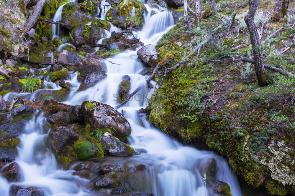 Similar – Image, Stock Photo Small cascade flowing in the forest