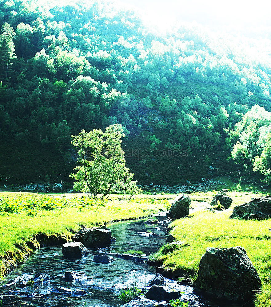 Similar – Mountain river valley landscape