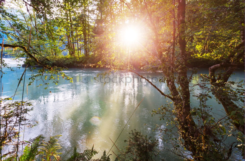 Similar – Image, Stock Photo Summer misty sunrise on the river. Foggy river in the morning