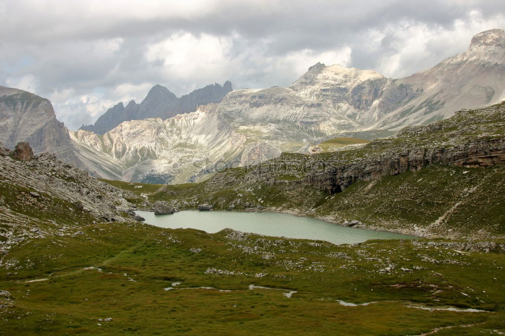 Similar – There’s a cow in front of the mountain.