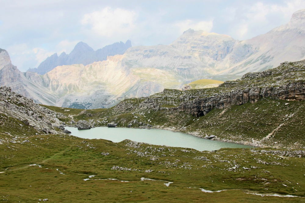 Similar – There’s a cow in front of the mountain.