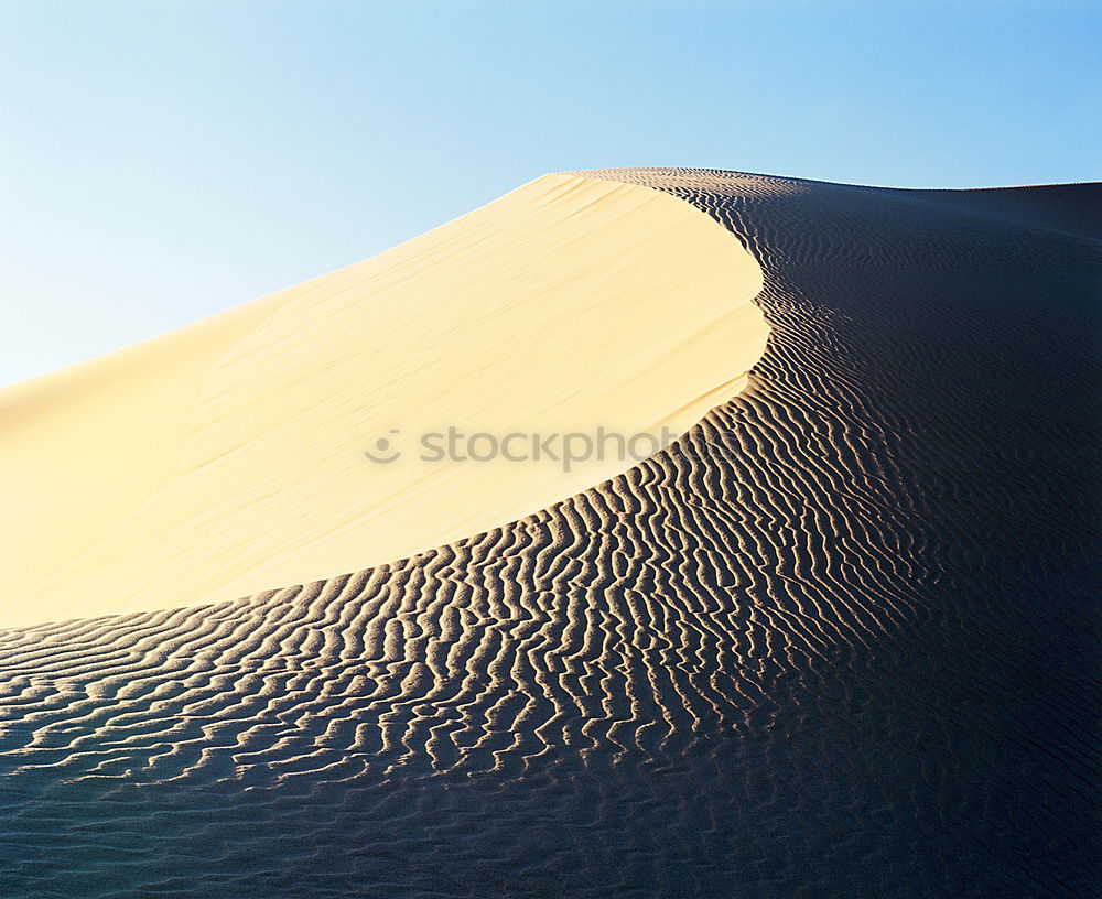 red sand Environment