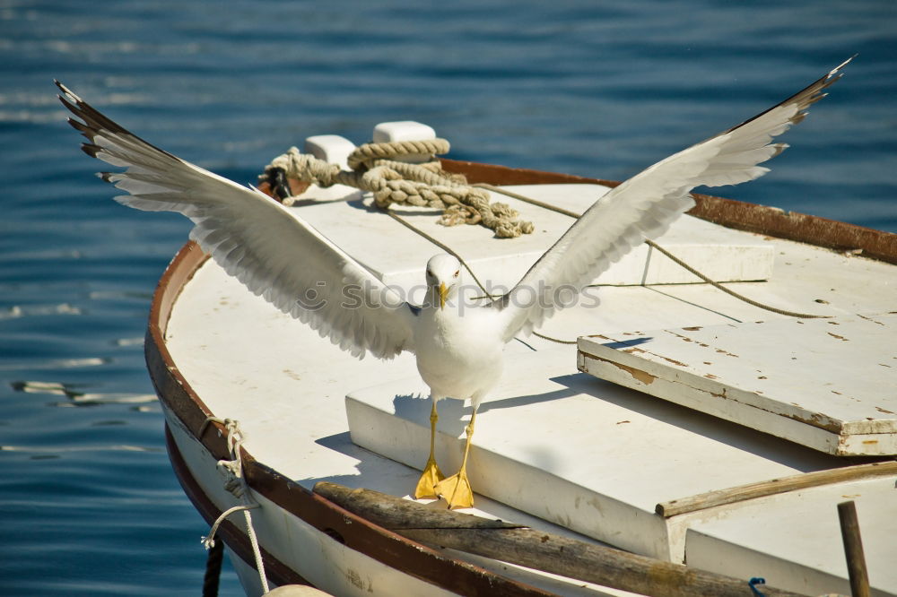 Similar – Fenders suspended between a boat and dockside for protection. Maritime fenders