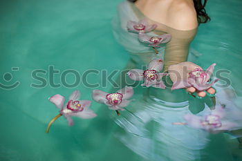 Similar – Image, Stock Photo Portrait of a young blonde woman in a white summer dress in a lake on the surface