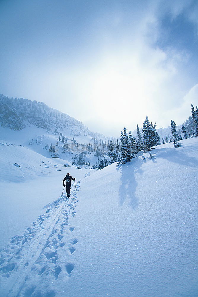 Similar – Image, Stock Photo in the Lech Valley Trip