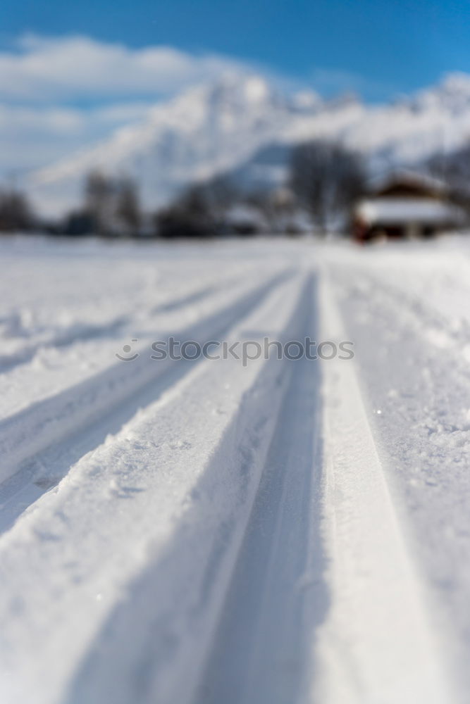 Similar – Image, Stock Photo no passing Nature