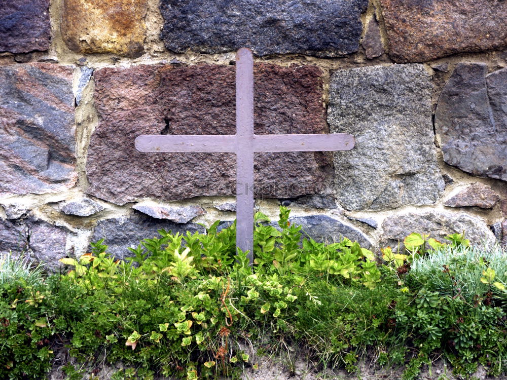 Image, Stock Photo Historical cemetery wall with grave cross.