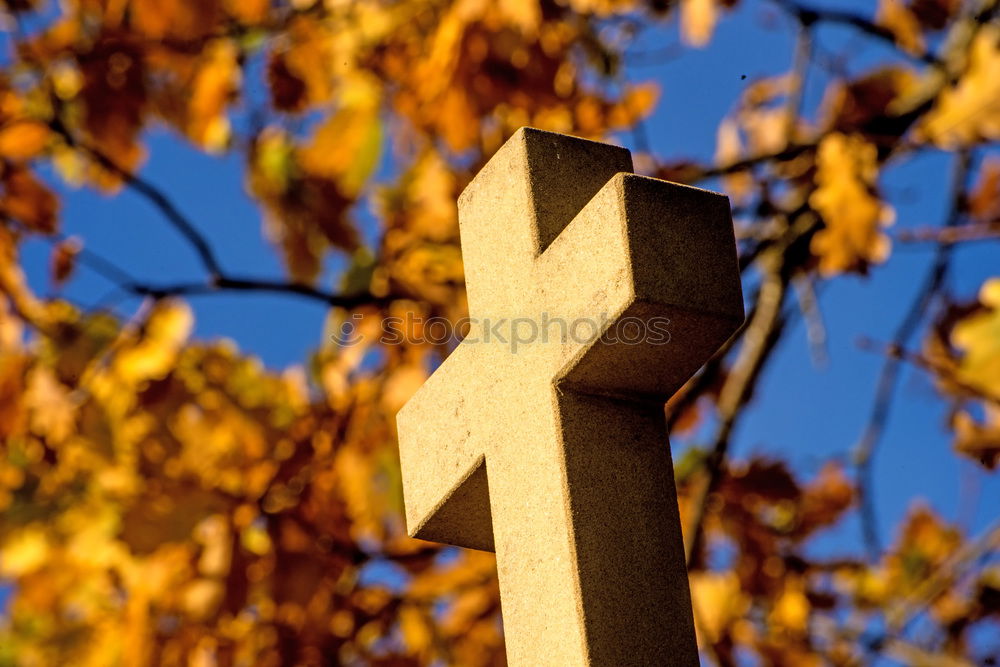 Cross with autumnal leaves in the background