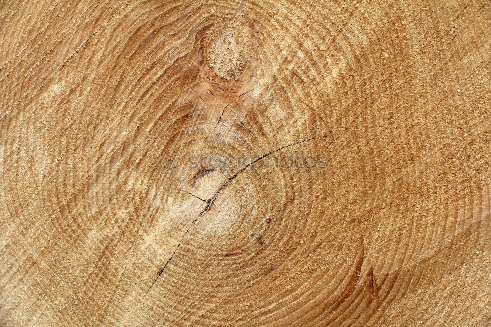 Similar – Image, Stock Photo wooden surface Grain