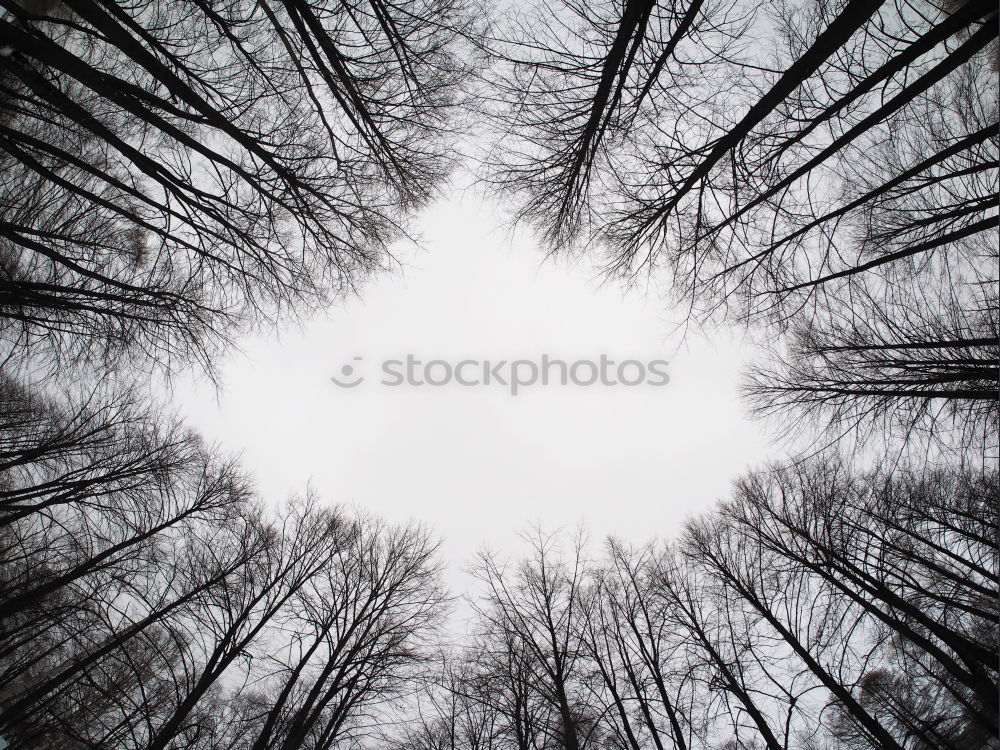 Similar – Image, Stock Photo NY Reflections. Art