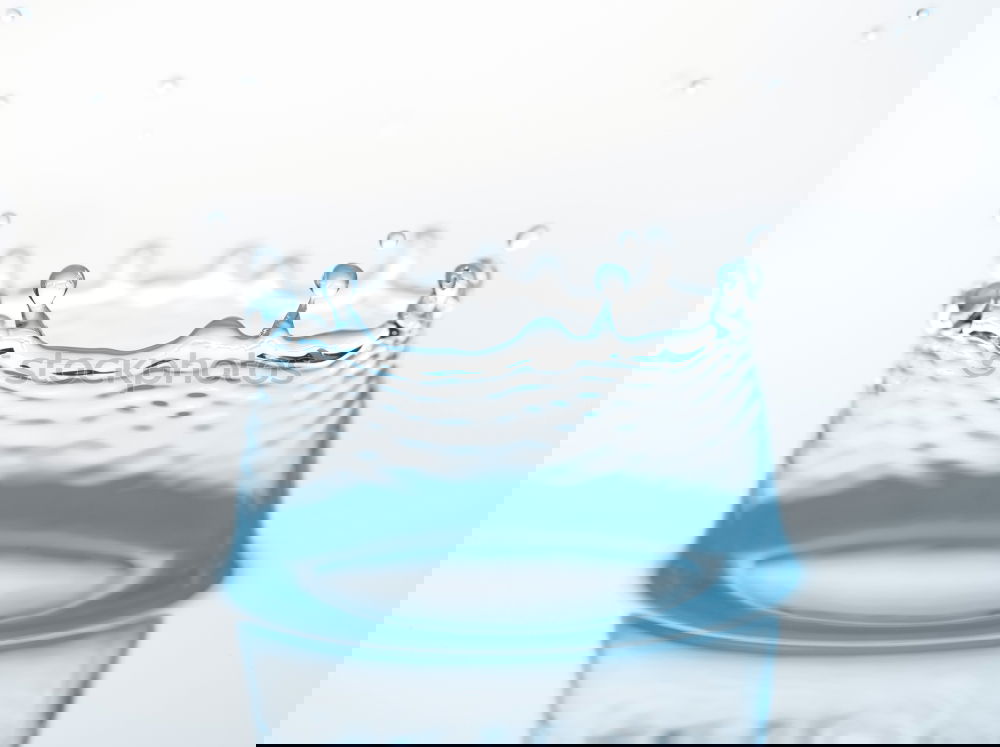 Image, Stock Photo A glass of water Beverage
