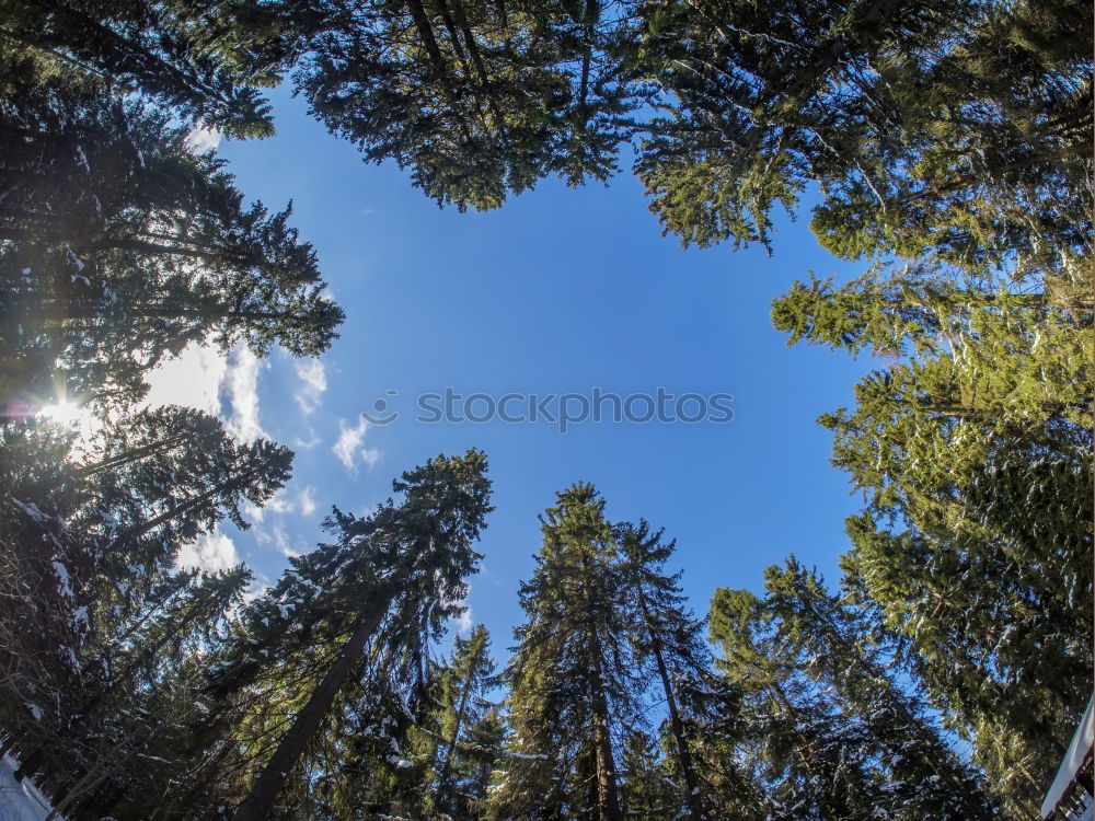 Similar – Image, Stock Photo lake Pond Water Footbridge