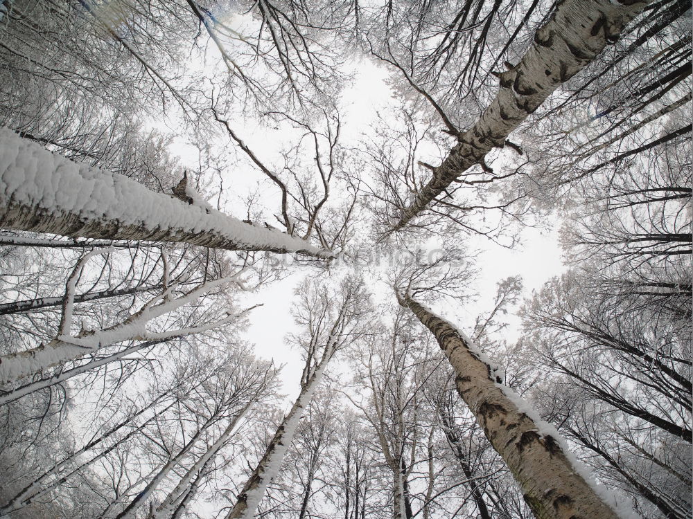 Similar – Image, Stock Photo Bigger than us Environment