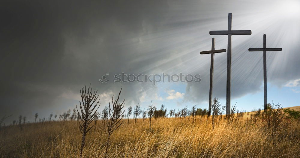 Similar – Image, Stock Photo summit cross Peak