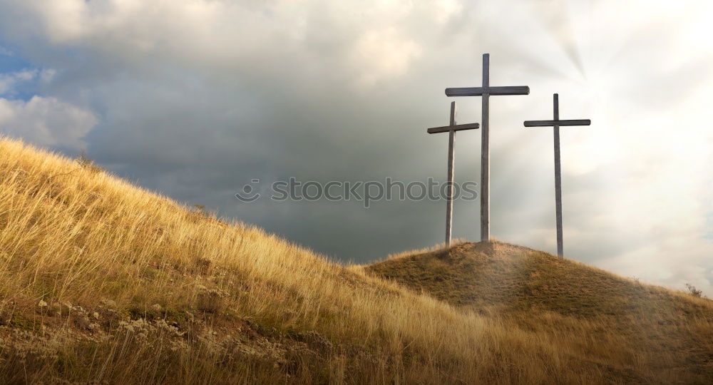 Similar – Image, Stock Photo Mt. Soledad 2 War monument