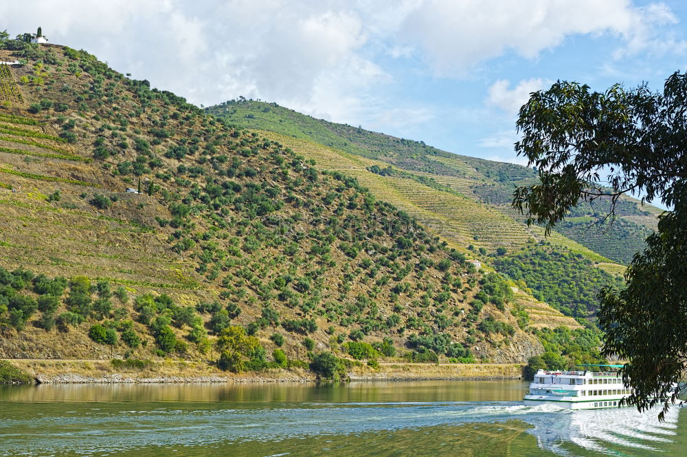 Similar – Image, Stock Photo Viticulture in the Douro Valley