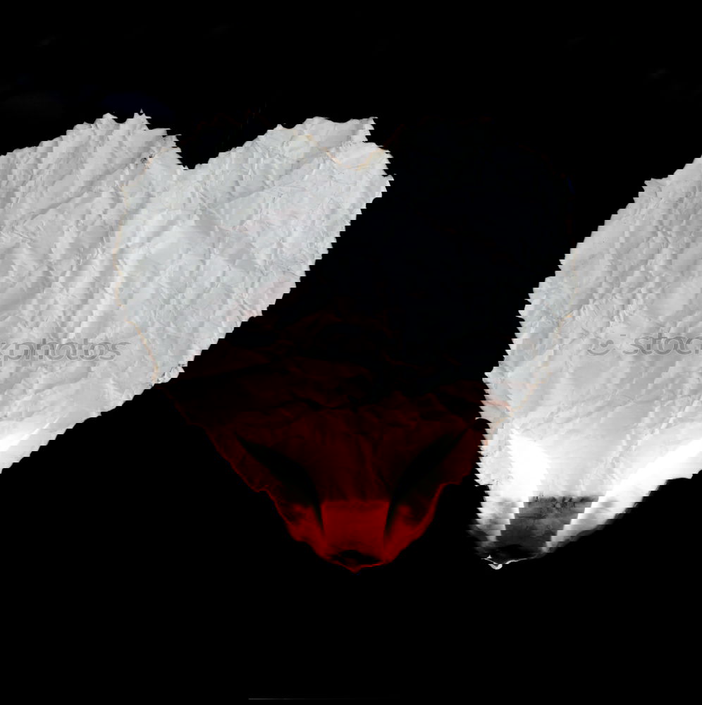 Similar – Foto Bild HerzSchlag Feste & Feiern