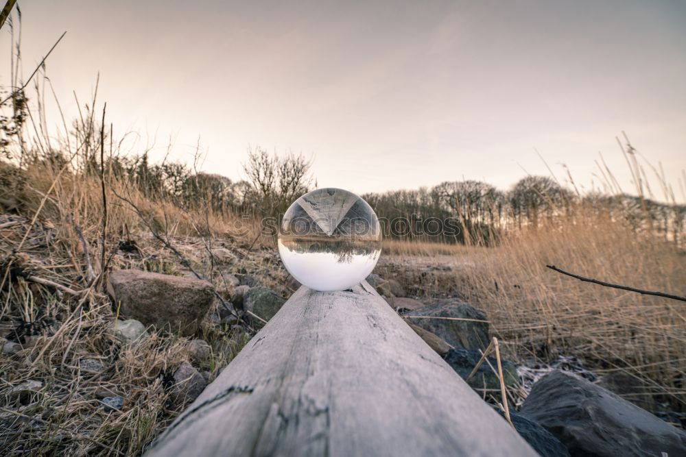 Similar – Camping in the dunes of Sylt