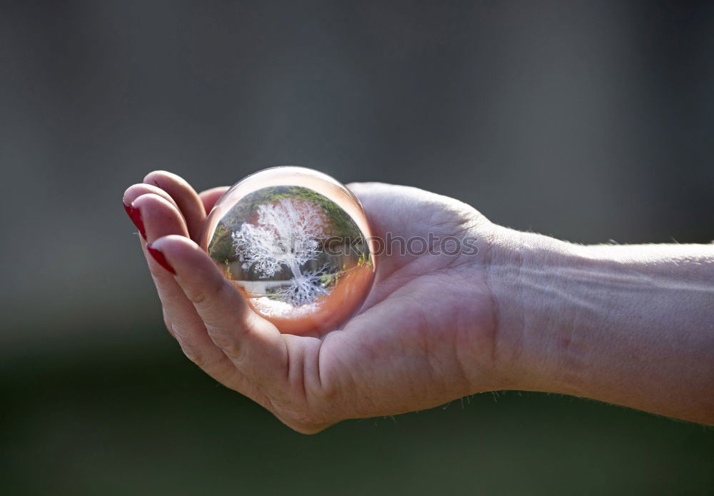 Similar – Image, Stock Photo Hand hold very small cup of coffee
