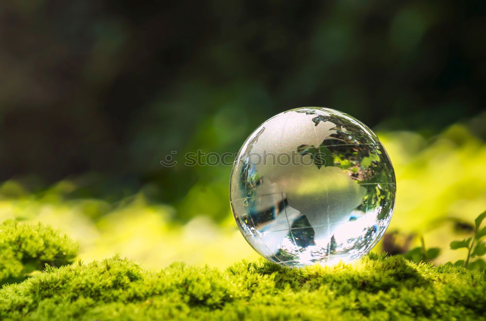 Similar – Glass ball in spring Art