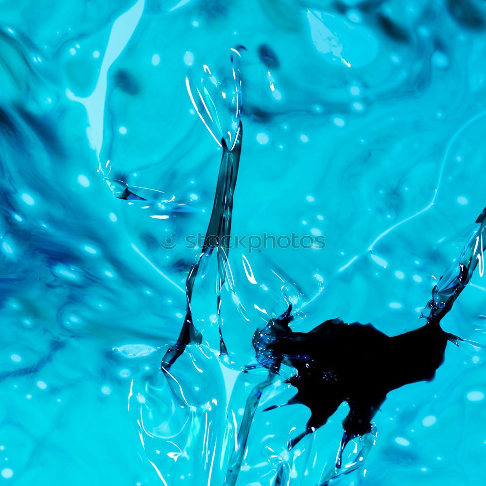 Similar – Young girl diving in swimming pool