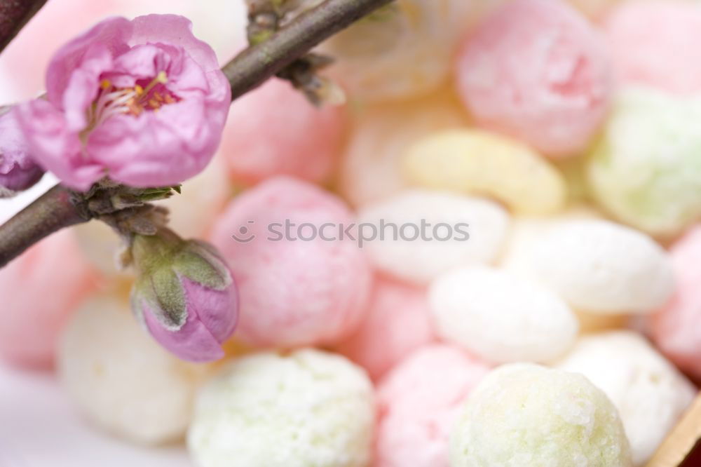 Similar – Image, Stock Photo tender orange Spring