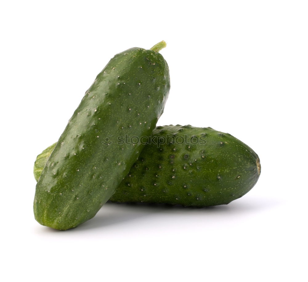 Similar – Jammy cucumber on green