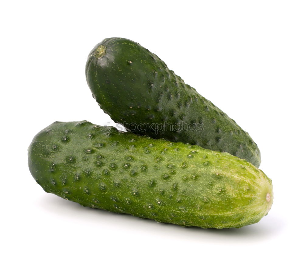 Similar – Jammy cucumber on green