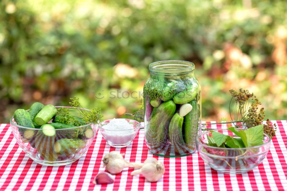 Similar – Image, Stock Photo Preparing ingredients for pickling cucumbers