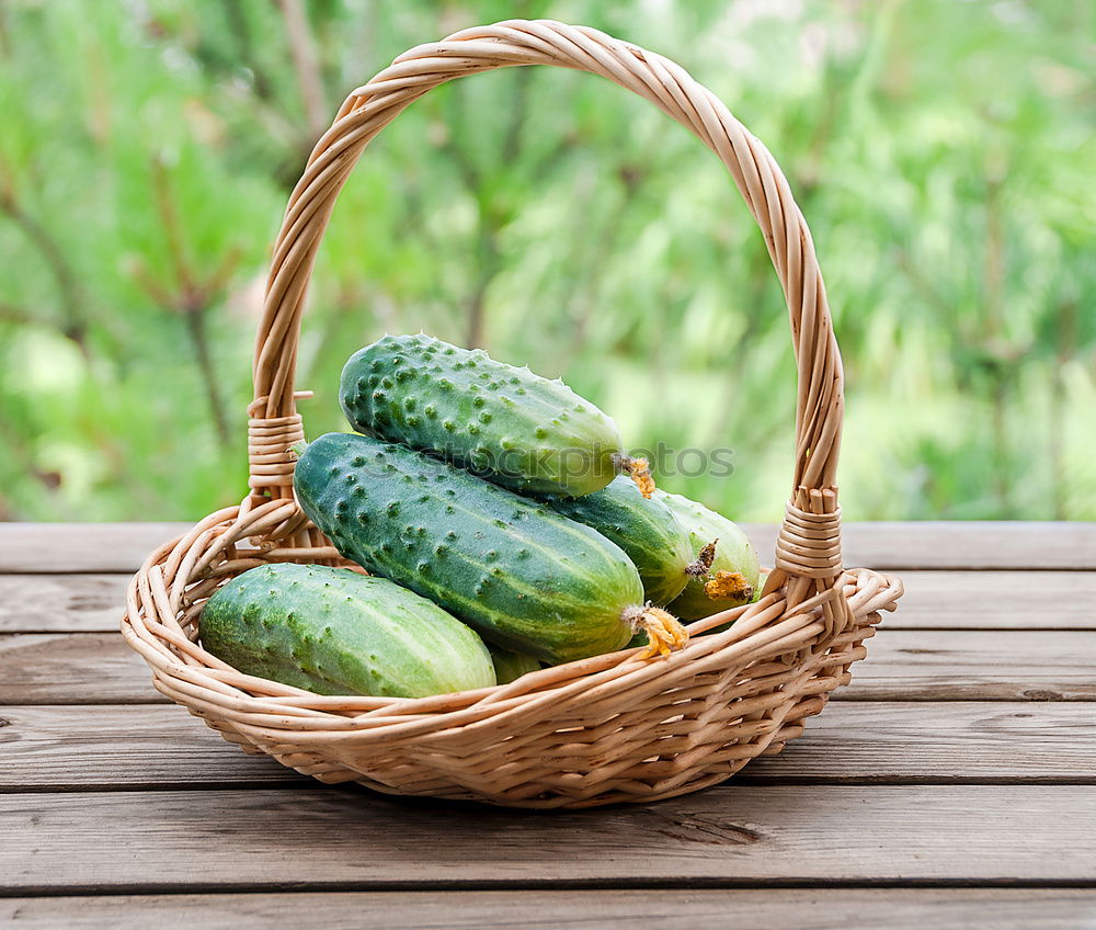 Similar – Image, Stock Photo Preparing ingredients for pickling cucumbers