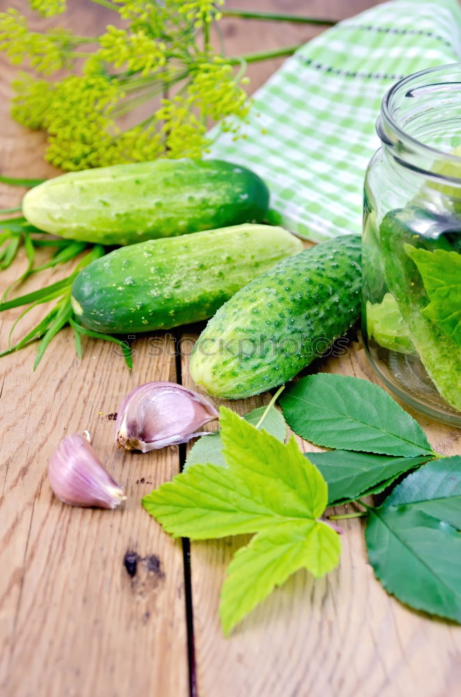 Similar – Pickling cucumbers with home garden vegetables and herbs