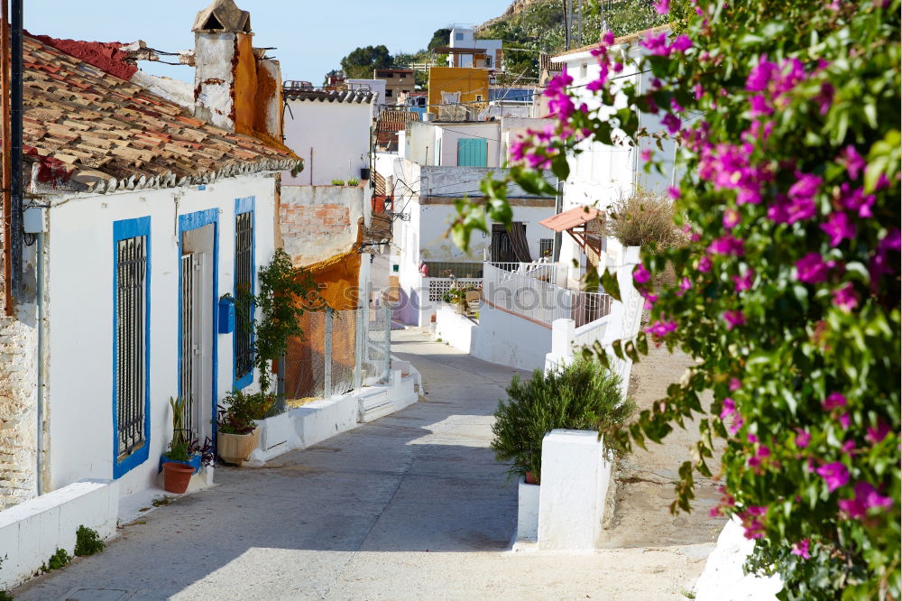 Similar – Image, Stock Photo Medieval village Monsaraz in Alentejo Portugal