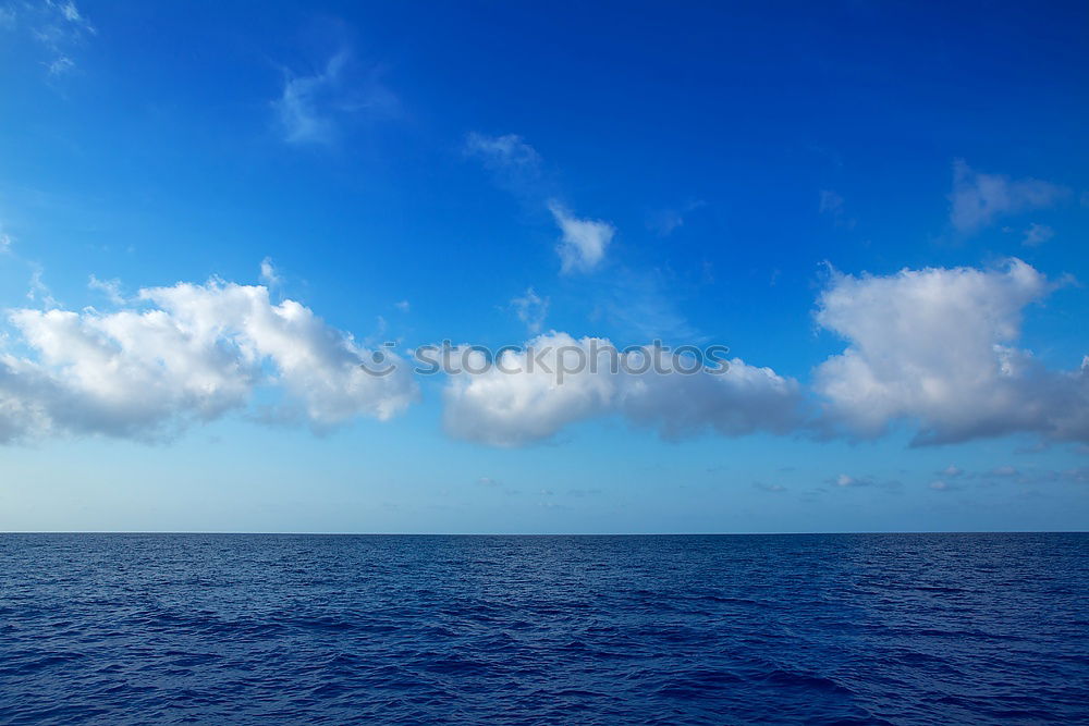 Similar – Image, Stock Photo into the blue Ocean Buoy